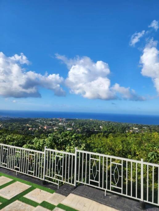 Villa La Rosa With Spectacular View Of Ocho Rios Buitenkant foto